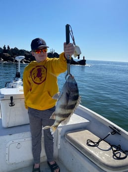 Fishing in Orange Beach, Alabama