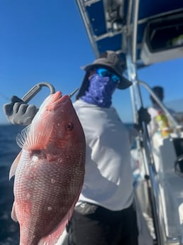 Fishing in Port Orange, Florida