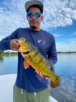 Fishing in West Palm Beach, Florida
