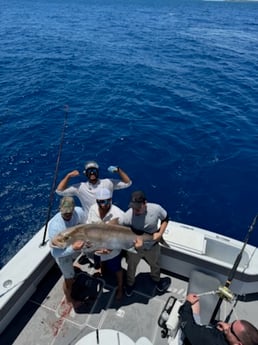 Fishing in Miami Beach, Florida