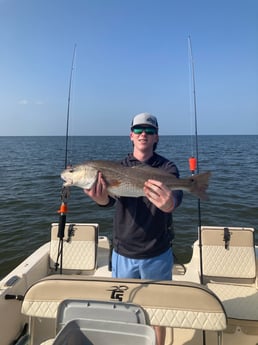 Redfish Fishing in Cedar Key, Florida