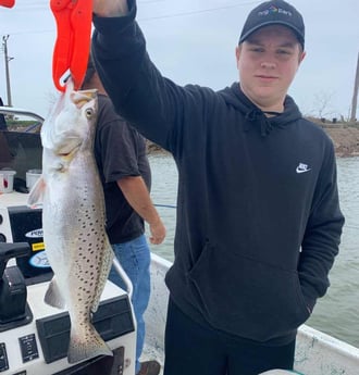 Speckled Trout / Spotted Seatrout fishing in Galveston, Texas