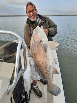 Black Drum Fishing in San Leon, Texas