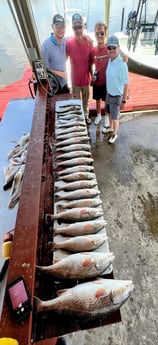 Largemouth Bass, Redfish fishing in Saint Bernard, Louisiana