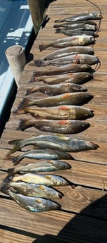 Fishing in Brownsville, Texas