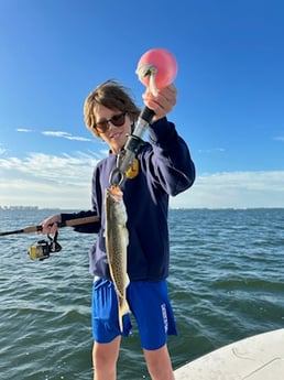 Speckled Trout Fishing in Sarasota, Florida