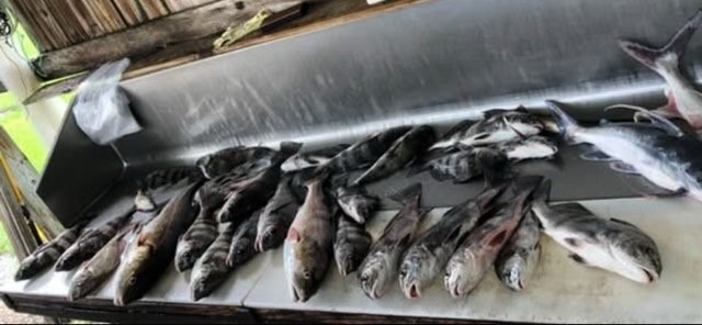 Fishing in Biloxi, Mississippi