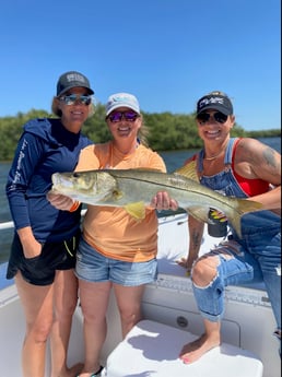 Snook fishing in Placida, Florida