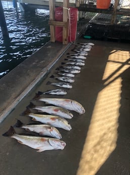 Fishing in Rockport, Texas