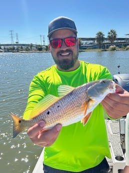 Fishing in Tomball, Texas