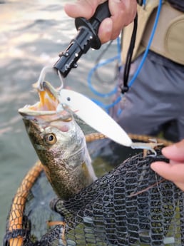 Speckled Trout / Spotted Seatrout Fishing in Rio Hondo, Texas
