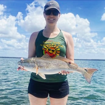 Redfish Fishing in Cape Coral, Florida