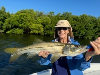 Fishing in St. Petersburg, Florida