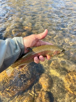Fishing in Hume, California