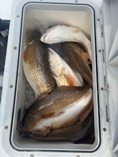 Fishing in Port O'Connor, Texas