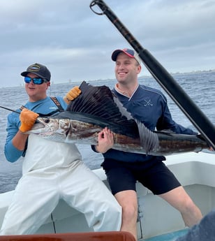 Sailfish Fishing in West Palm Beach, Florida