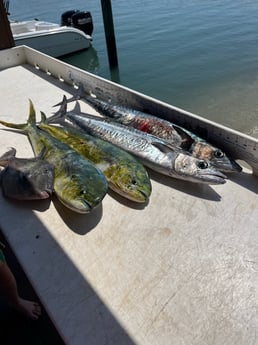Fishing in Jupiter, Florida