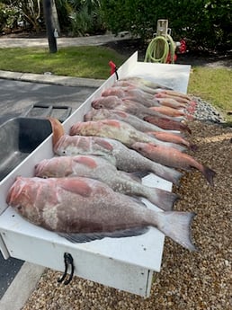 Fishing in Sarasota, Florida