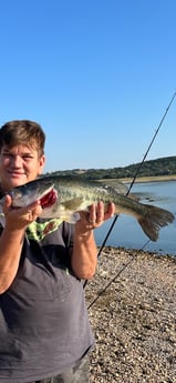 Largemouth Bass Fishing in Briarcliff, Texas