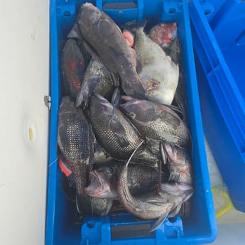 Fishing in Narragansett, Rhode Island