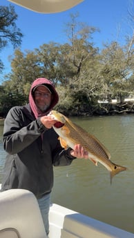 Fishing in Bon Secour, Alabama