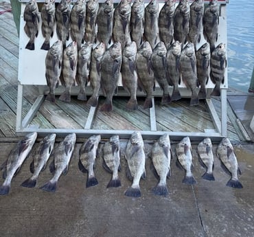 Fishing in Ingleside, Texas