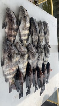 Fishing in Pensacola, Florida