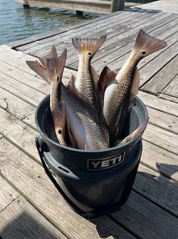 Fishing in Harlingen, Texas