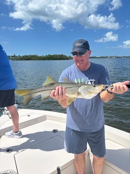 Fishing in Sarasota, Florida