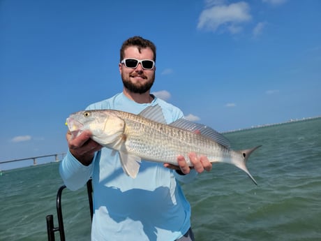 Redfish Fishing in Rio Hondo, Texas