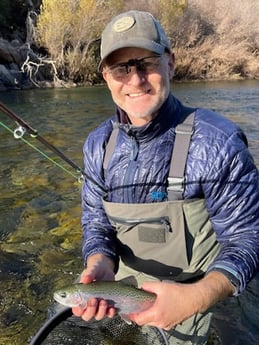 Rainbow Trout Fishing in Hume, California