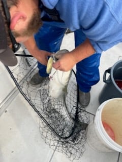 Fishing in Keyport, New Jersey