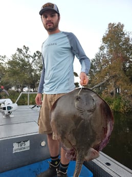 Stingray Fishing in Livingston, Texas