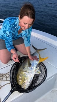 Jack Crevalle Fishing in New Orleans, Louisiana