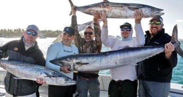 King Mackerel / Kingfish, Wahoo Fishing in Riviera Beach, Florida