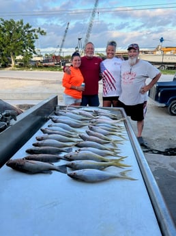 Mangrove Snapper, Spanish Mackerel, Yellowtail Snapper Fishing in Marathon, Florida