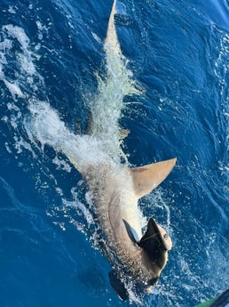 Fishing in Fort Lauderdale, Florida