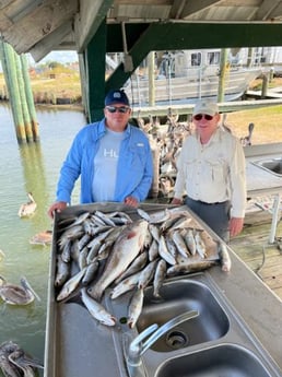 Redfish, Speckled Trout / Spotted Seatrout Fishing in Sulphur, Louisiana