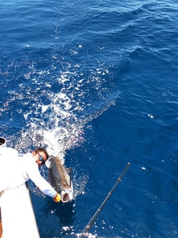 Black Marlin fishing in Rockport, Texas