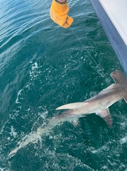 Fishing in Galveston, Texas