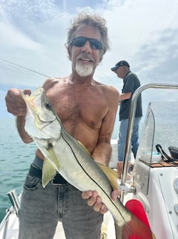 Fishing in Sarasota, Florida