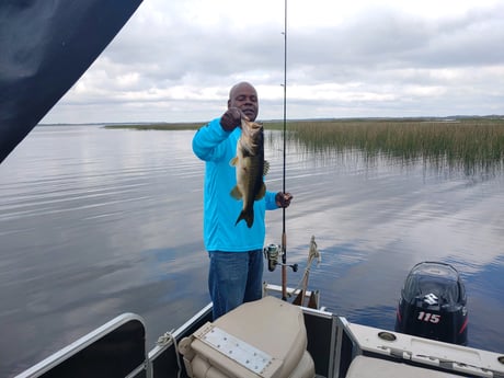 Largemouth Bass Fishing in Kissimmee, Florida