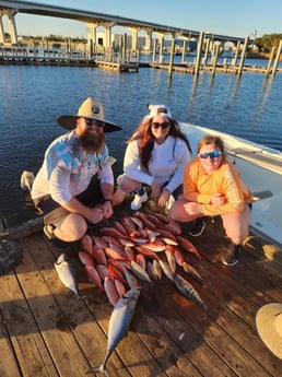 False Albacore, Perch, Vermillion Snapper Fishing in Pensacola, Florida
