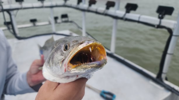 Fishing in Galveston, Texas