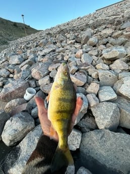 Fishing in Cody, Wyoming
