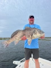 Black Drum Fishing in Delacroix, Louisiana