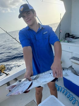 Barracuda Fishing in Pompano Beach, Florida
