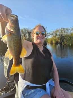 Fishing in Deerfield Beach, Florida