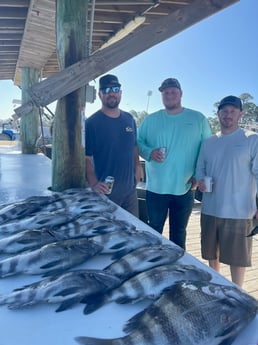Fishing in Gulf Shores, Alabama