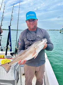 Redfish Fishing in Sarasota, Florida